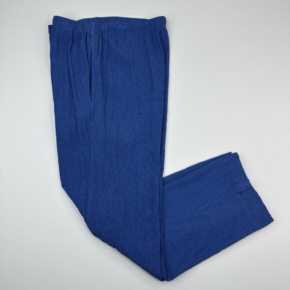 Everlane Women’s Deep Blue Naia Ripple Tapered Minimalist‎ Pant M/W30/L26 - Picture 3 of 10